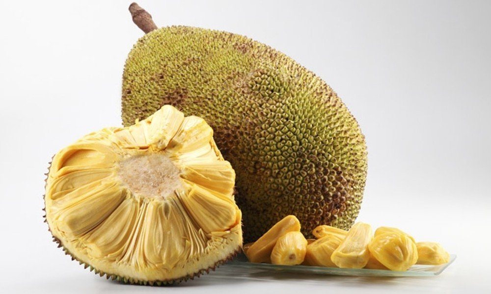 Natural Meat Alternative Jackfruit