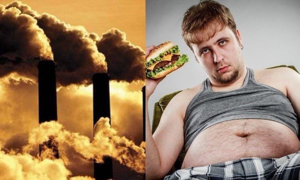 Climate change, obesity